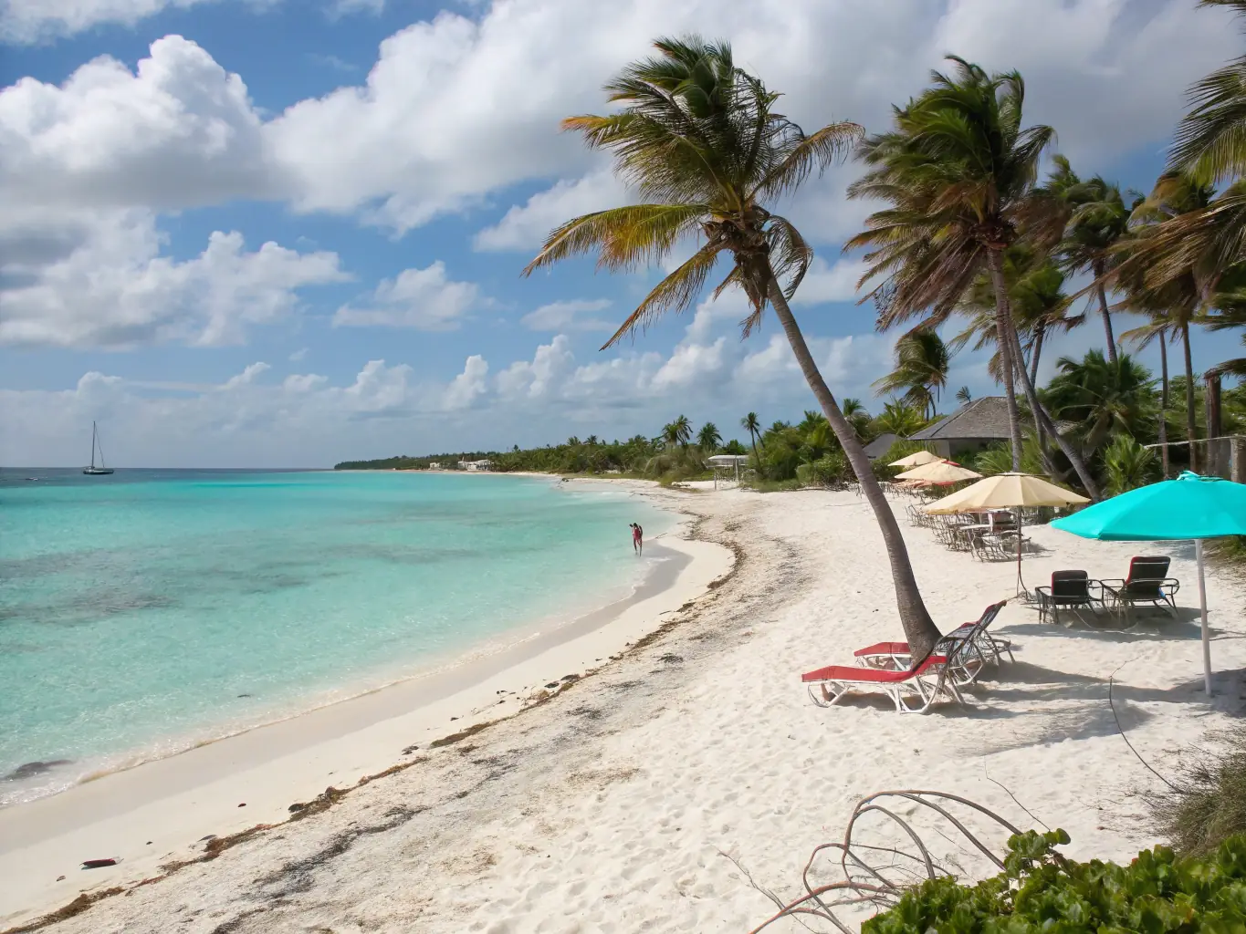 A serene beach with crystal-clear turquoise water and white sand, palm trees swaying gently in the breeze, capturing the essence of a tropical paradise for Freefly's destination highlights.